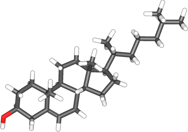 Cholesterol molecule from Wikipedia