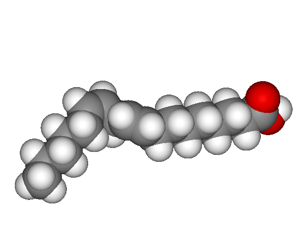 Linoleic_acid3D.png