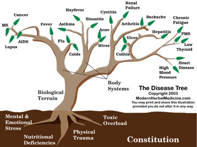 MHM-Disease-Tree.jpg
