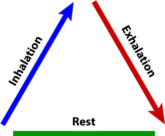 Normal-Breathing-Pattern.jpg