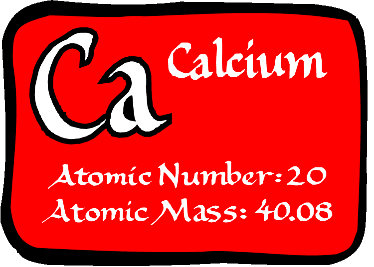 calcium2.gif