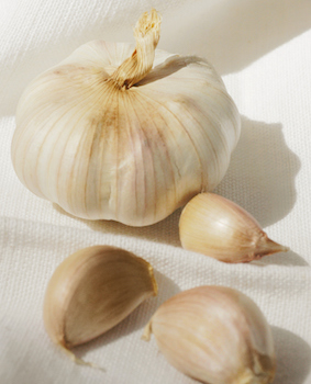garlic-web.jpeg