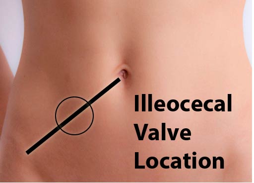 ileocecal-valve.jpg