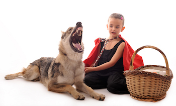 wolf-red-riding-hood-web.jpg