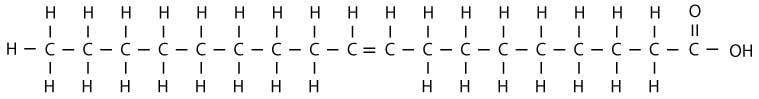 omega9-long.jpg omega9-long.jpg